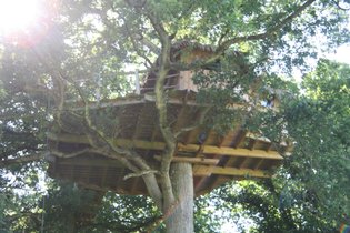 Cabane dans les arbres Ille-et-Vilaine