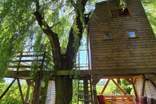 Dans un arbre perché