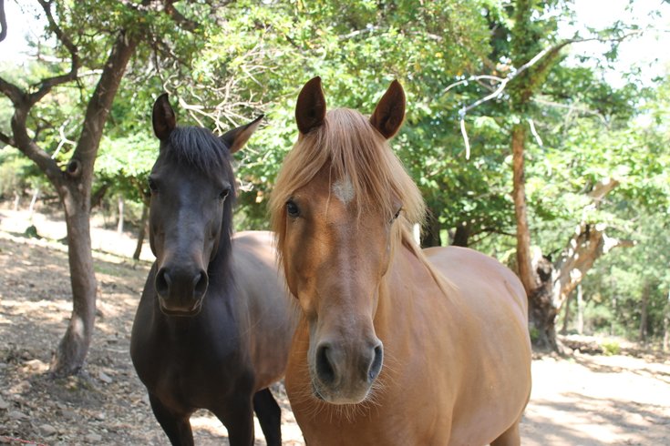 Domaine AbracadaRoom : La ferme Blandine agriculture biologique - Image 14