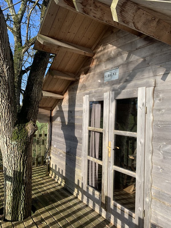 Cabane Perchée Chêne à Louverné (3)