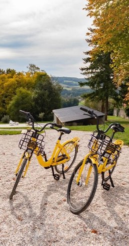 Hébergement AbracadaRoom : Le Dôme Tanière du renard - Image 13