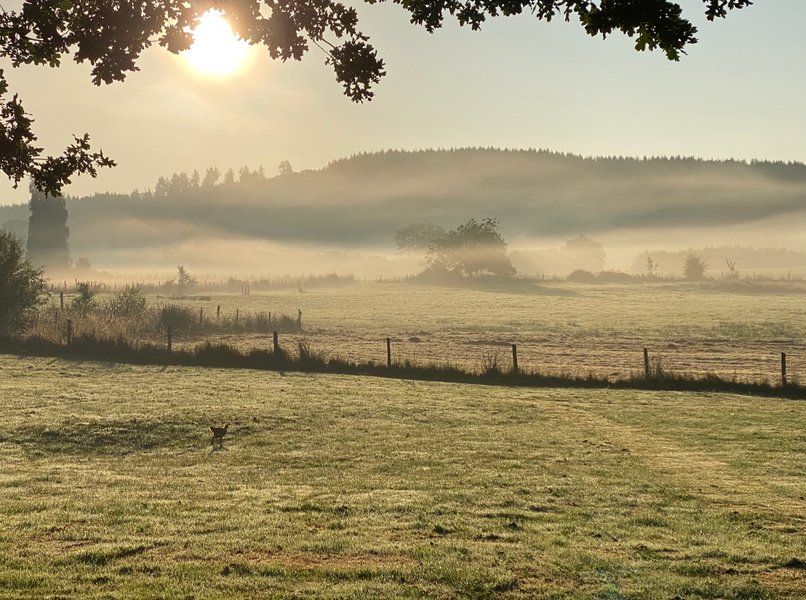 Hébergement AbracadaRoom : Gîte de la chevêche - Image 15