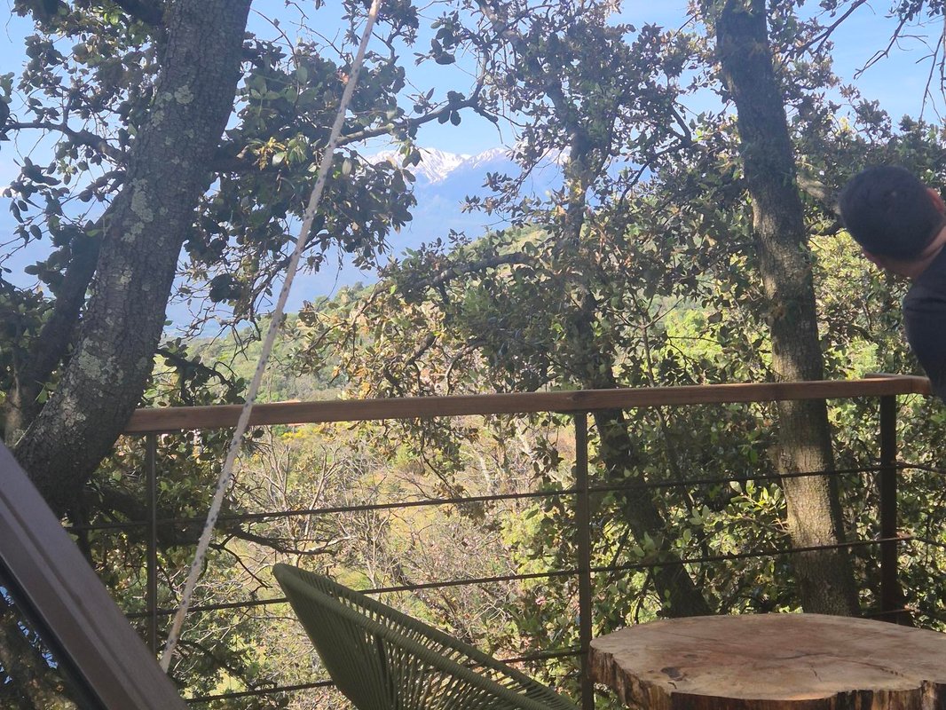 Le  cocon du Mas Berrugues à Belesta (7)