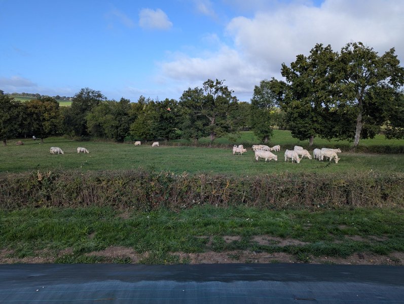 Domaine AbracadaRoom : Tiny house du bois prié - Image 1