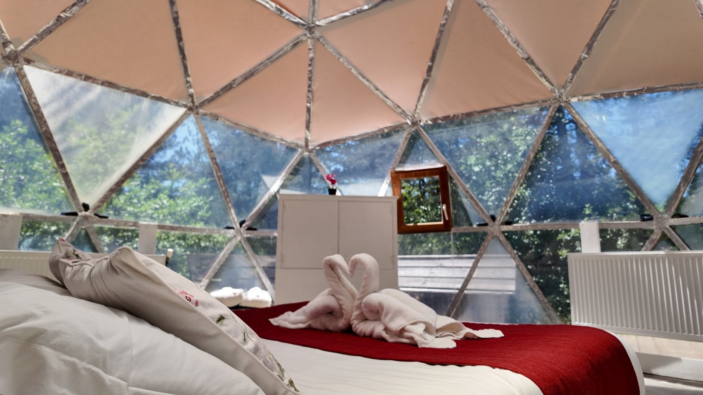 La Bulle & Spa à Saint Pierre D’argençon (4)