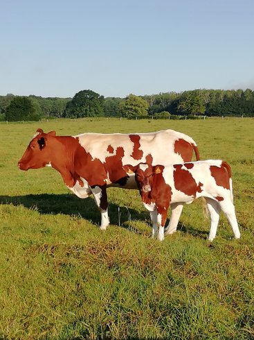 Domaine AbracadaRoom : Au Pré des Alizés - Image 6