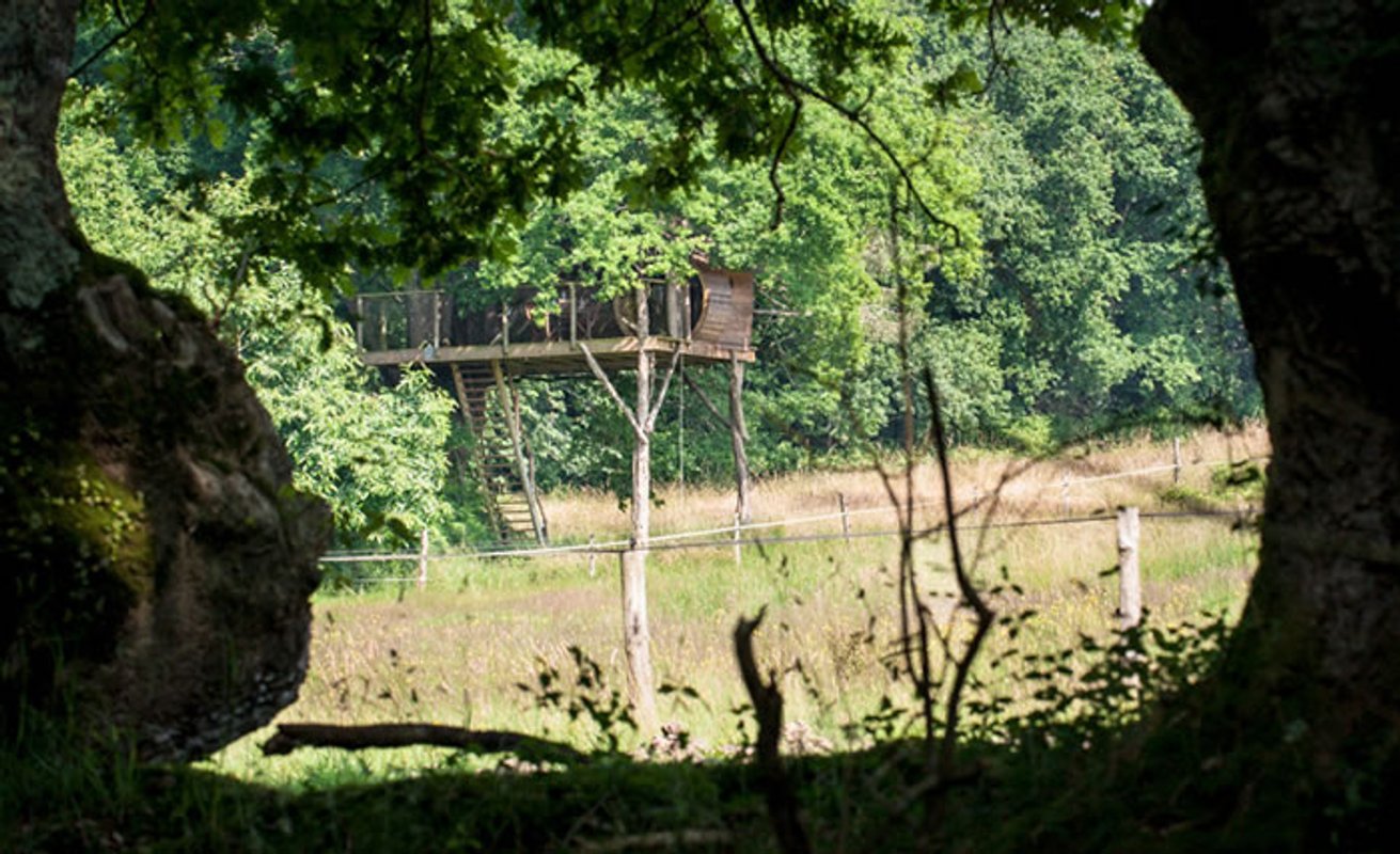 La Cabane perchée Neh er lenn à Ploemel (7)