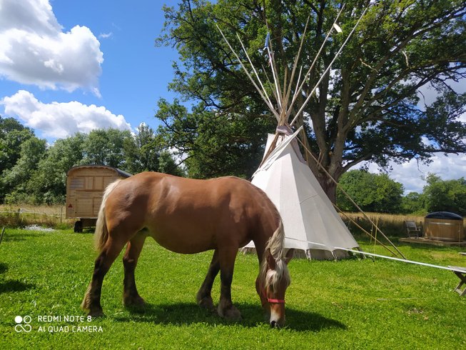 Hébergement AbracadaRoom : TIPI SIOUX - Image 3