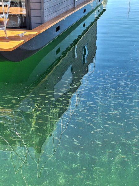 Domaine AbracadaRoom : Fløtyll - Image 5