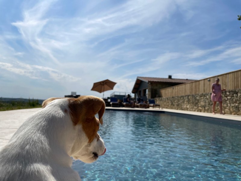 Domaine AbracadaRoom : Hitton Séjours Nature - Image 4