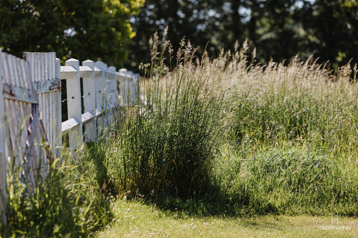 La Maisonnette de poupée Vue Nature à Epagne Epagnette (6)
