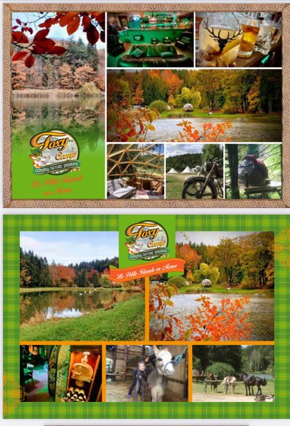 Domaine AbracadaRoom : Foxy Camp - Image 4