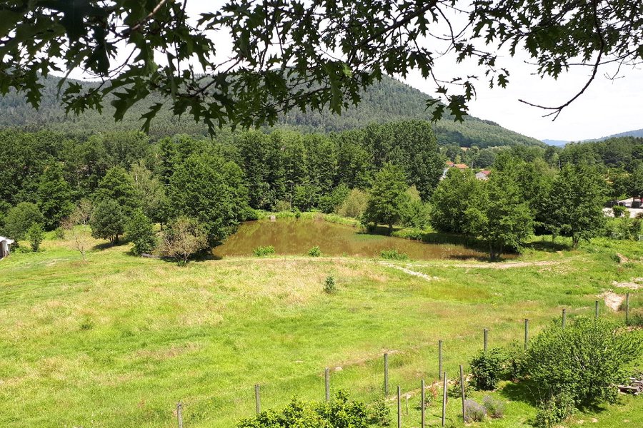 Kota chambre des Cambuses & Bain nordique — photo 2