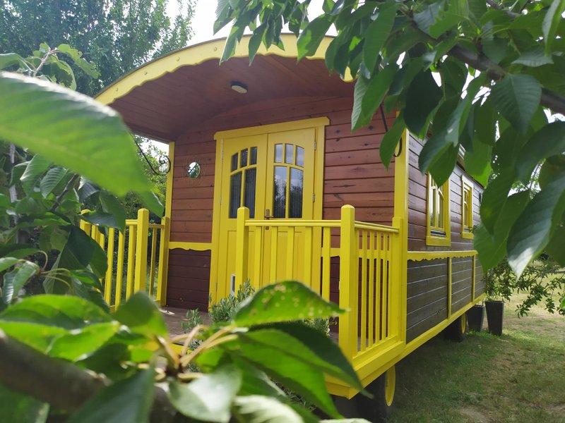 Hébergement AbracadaRoom : La roulotte "Sous le soleil" - Image 2