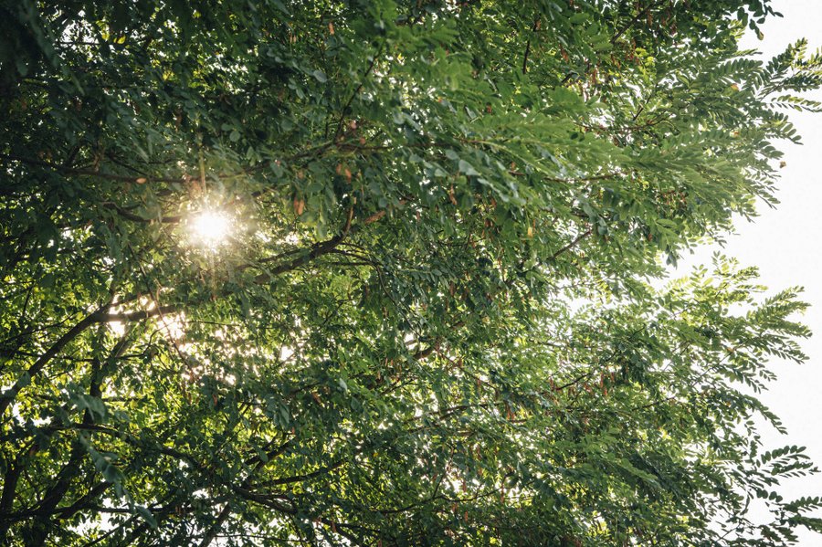 Hébergement AbracadaRoom : La Bulle SPA Suite - Image 24