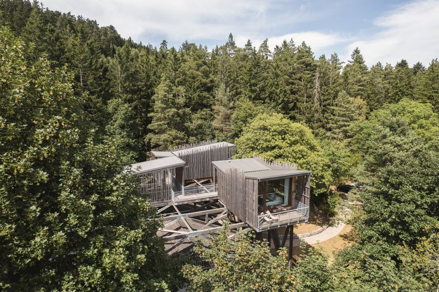 Hébergement AbracadaRoom : Villa Forêt & Spa – Domaine privatisé avec cabanes et espace bien-être - Image 2