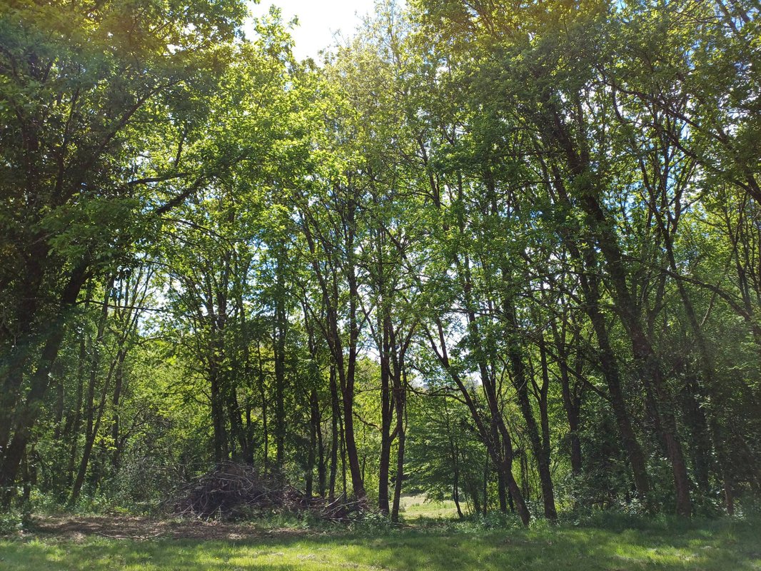 Nid Rond à Sarlat-La-Canéda (21)