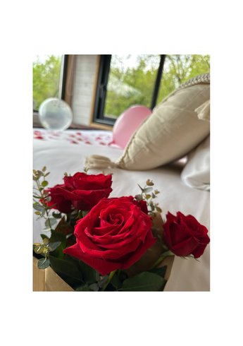 Domaine AbracadaRoom : Les cabanes d'ED - Image 10