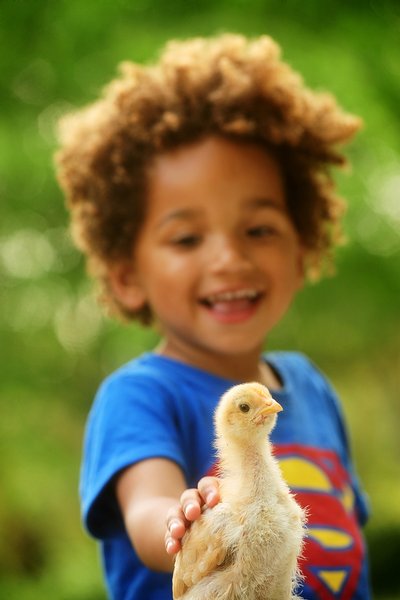 Domaine AbracadaRoom : Kimaro Farmhouse - Image 31