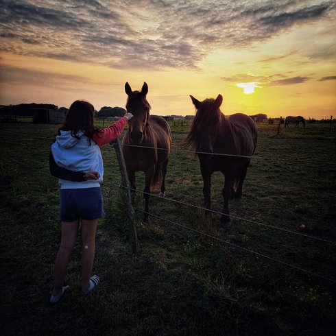 Domaine AbracadaRoom : Tiny Houses au milieu des chevaux | Proche Étretat - Image 13