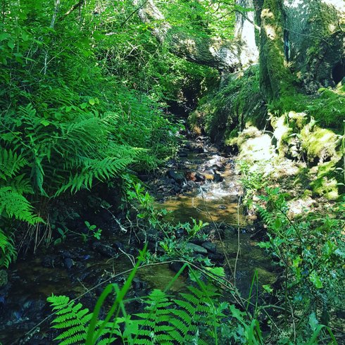 Domaine AbracadaRoom : La ferme des histoires mélangées - Image 3
