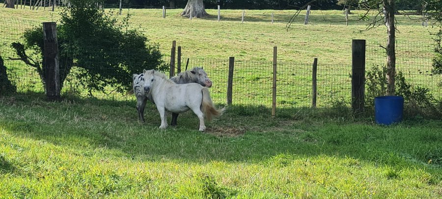 Domaine AbracadaRoom : Ressource d'Âme - Image 4