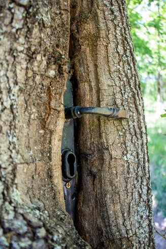 Hébergement AbracadaRoom : Shimoni, dans les bois - Image 15
