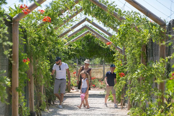 Domaine AbracadaRoom : DéfiPlanet' - Image 6