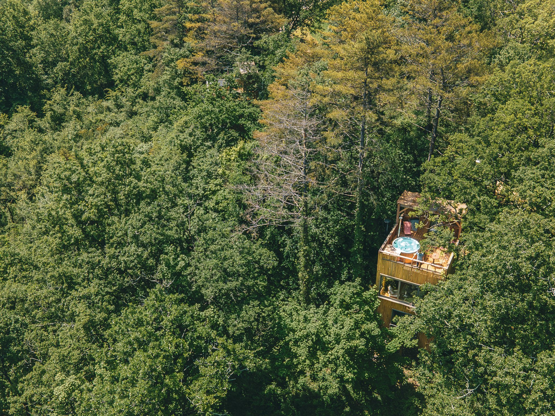 La Palombière 2 (avec Spa)