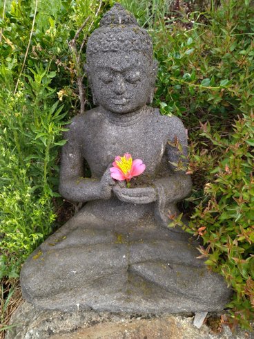 Domaine AbracadaRoom : Les Chemins d'Ambre & Thaïs - Image 6