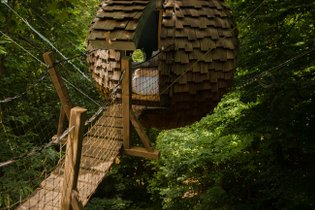 Coucoo Grands Chênes