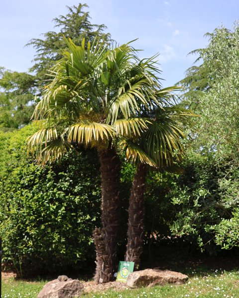 Domaine AbracadaRoom : Le cocon des cinq sens- L'insolite Finlandais - Image 9