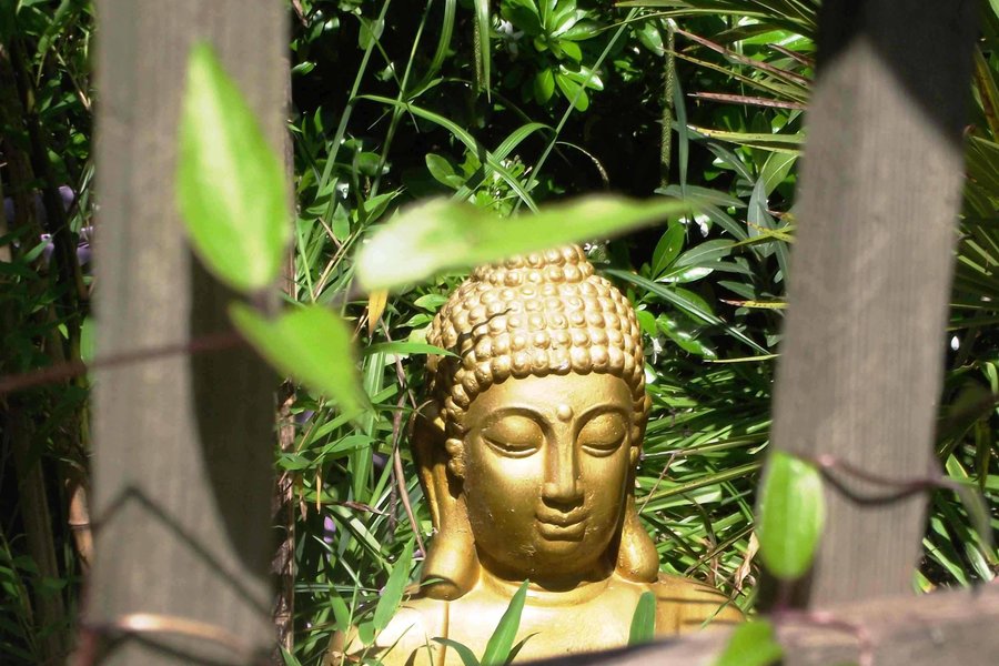 Tiny Garden – Parenthèse nature et sérénité — photo 2