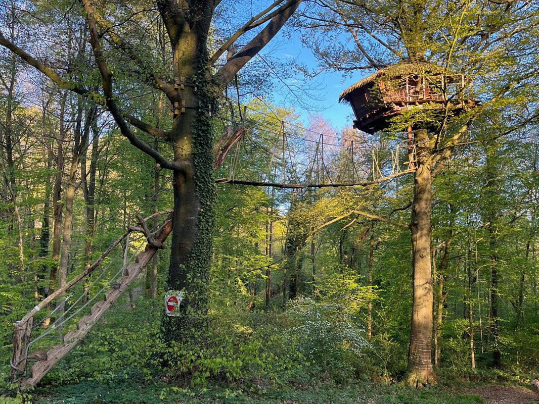Berceau à St Germain Des Essourts (10)