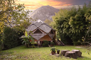 Apizome à Cierp-Gaud (1)