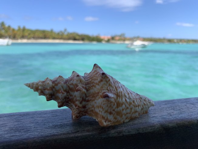Hébergement AbracadaRoom : Aqua Lodge le Rêve flottant Les Saintes - Image 63