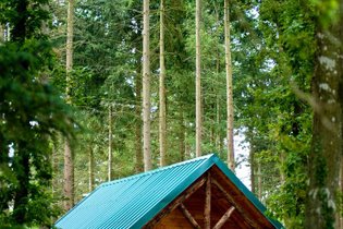 Cabane Yvelines