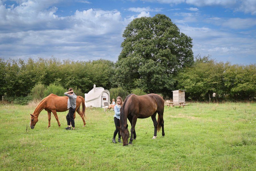 Hébergement AbracadaRoom : La Doma - Image 6