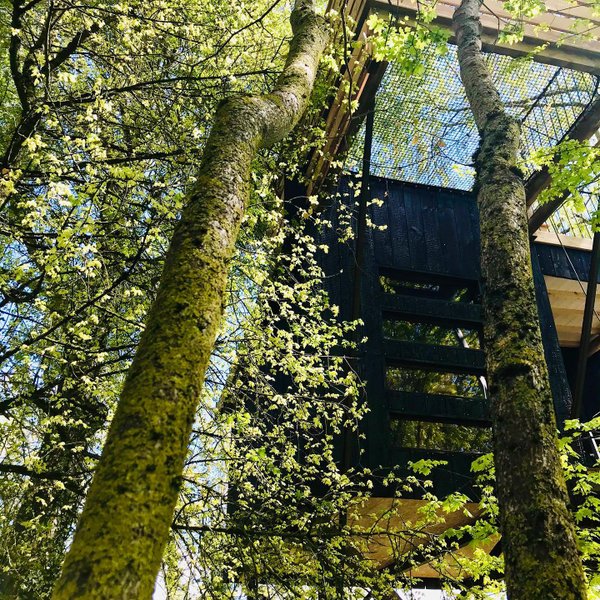 Domaine AbracadaRoom : Les Cabanes de la Presle - Image 14