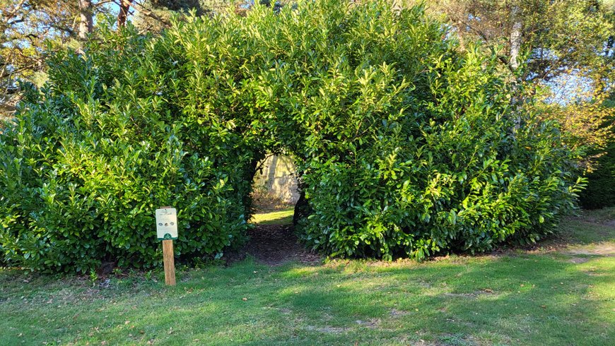 Hébergement AbracadaRoom : SEULS AU MONDE & SPA - Image 5