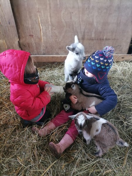 Domaine AbracadaRoom : Ecodomaine Rêver Ailleurs - Image 11