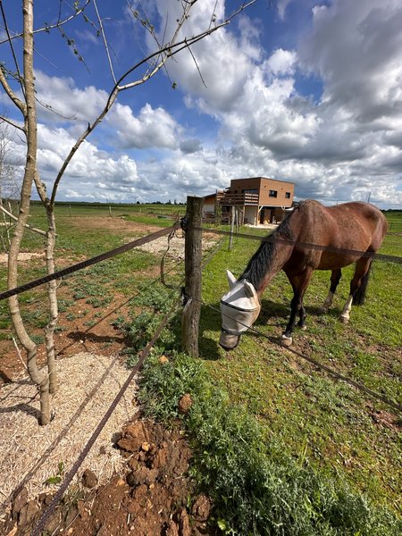 Domaine AbracadaRoom : Ecurie des prés hauts - Image 7