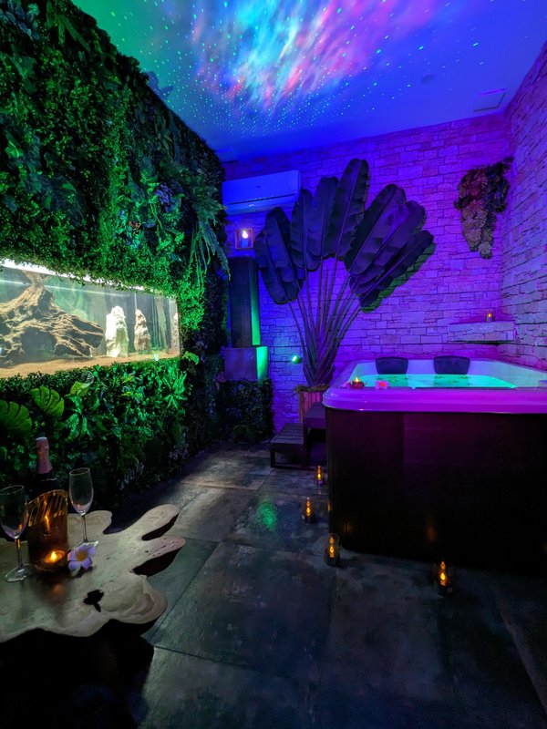 Nuit insolite avec Spa, sauna et jardin privatifs immersion en AMAZONIE à Le Passage D'agen (11)