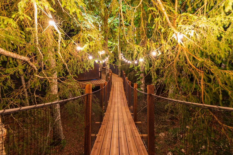 Hébergement AbracadaRoom : Cabane perchée, un cadre exceptionnel en pleine nature - Image 9