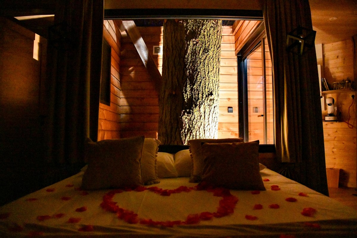 Cabane SPA Cocoon à Gillonnay (13)