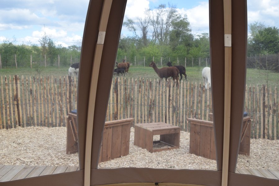 Hébergement AbracadaRoom : Bulle de nature & Spa - Image 5