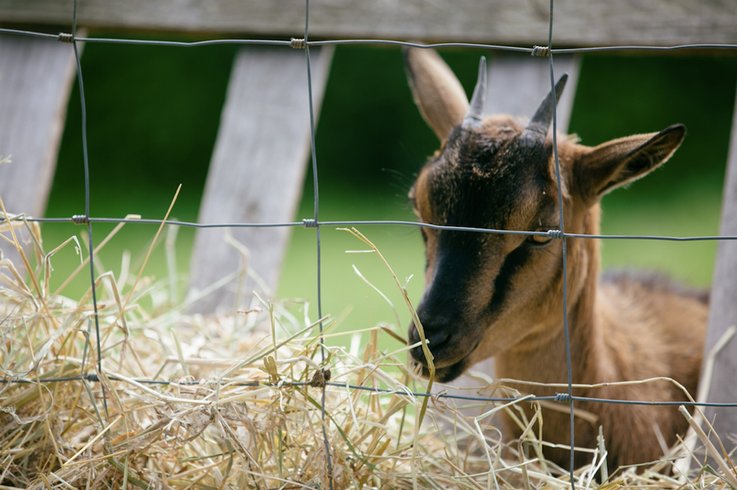 Domaine AbracadaRoom : Camping Seasonova Haliotis - Image 7