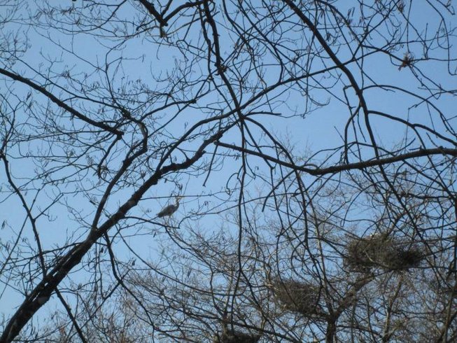 Domaine AbracadaRoom : Fuste des Garceaux - Image 9