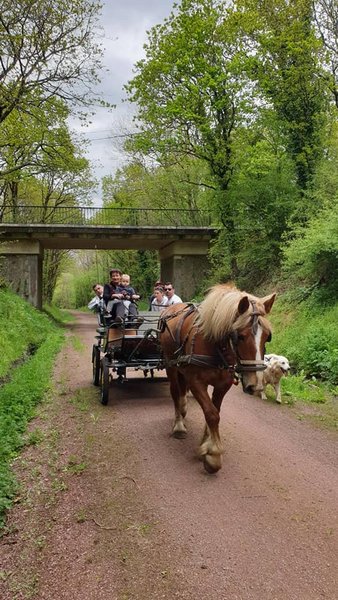 Domaine AbracadaRoom : Écurie Leseigneur - Image 15
