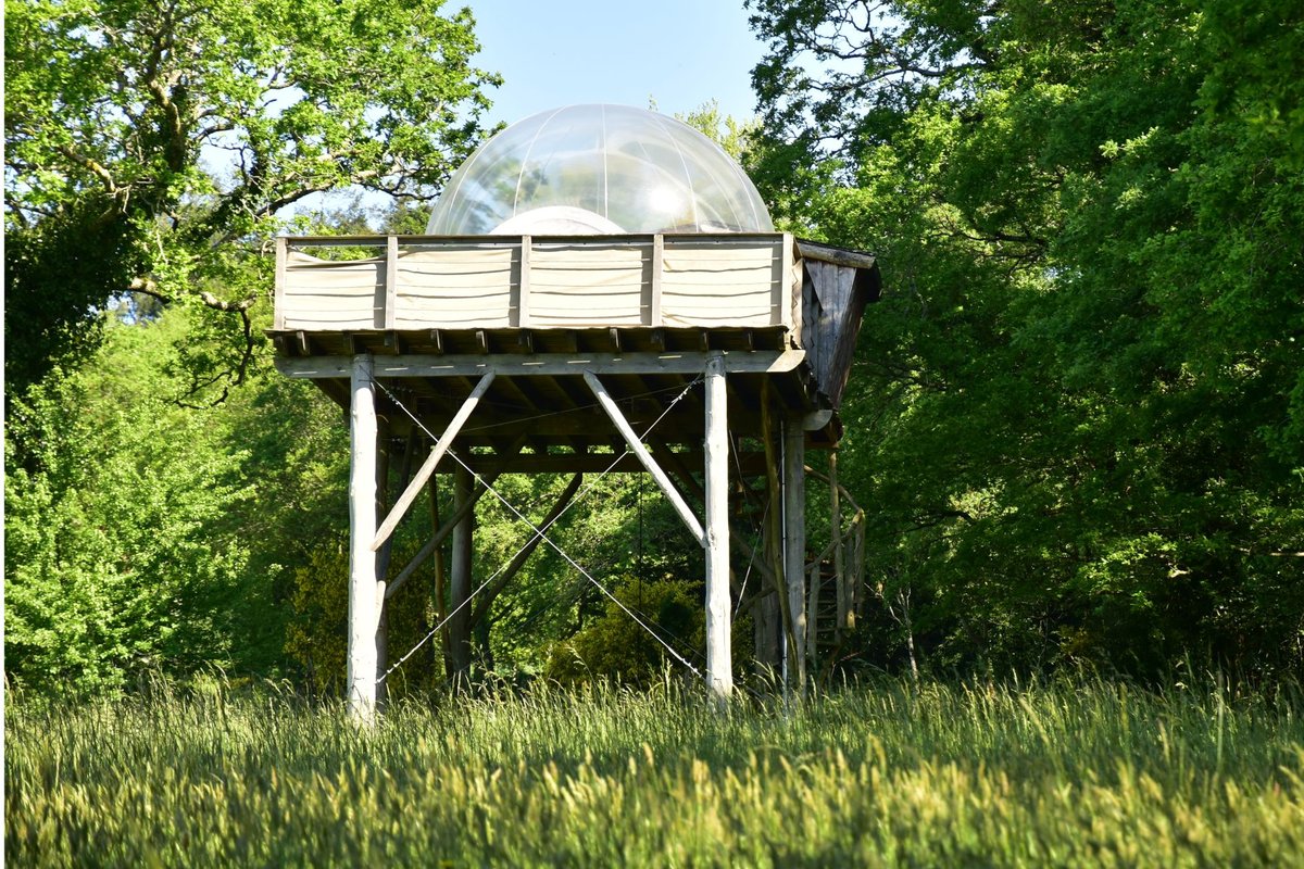 La Bulle en l'air n°2 à Quistinic (4)